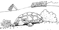 Man in a turtle shell doodle.