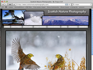 Gill family wildlife photography.